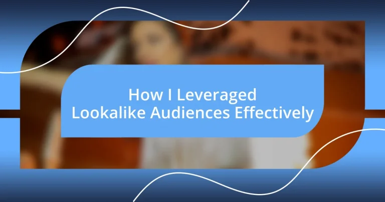 How I Leveraged Lookalike Audiences Effectively